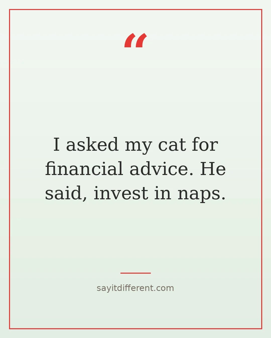 bad jokes: I asked my cat for financial advice, he said invest in naps