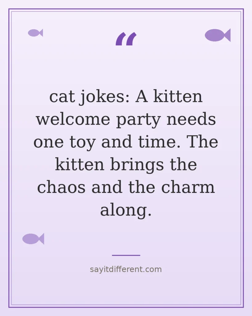80 cat jokes