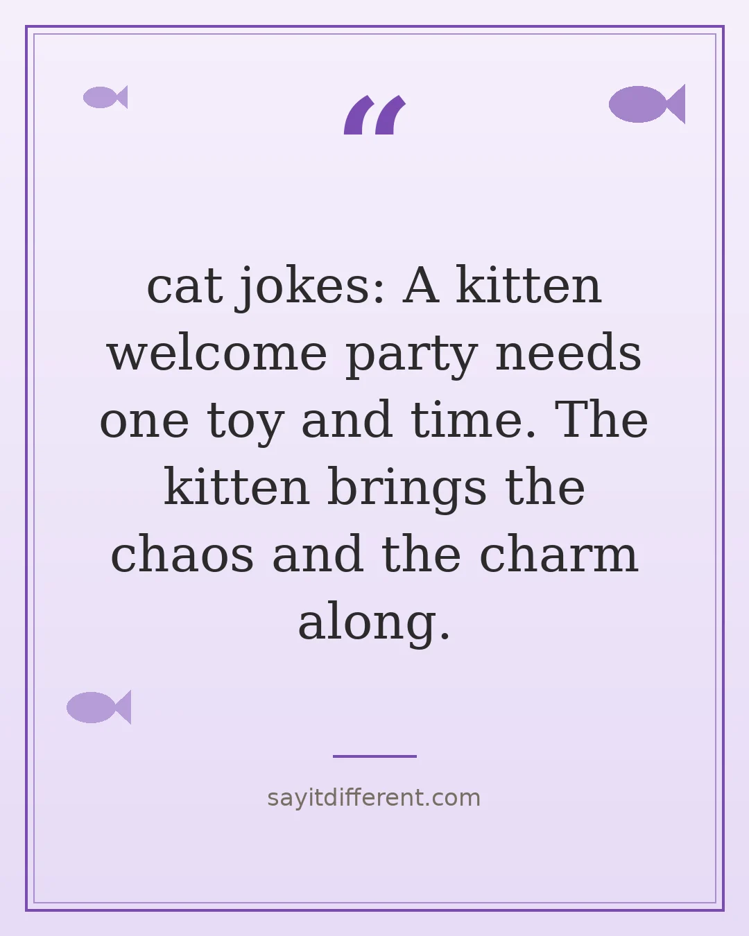 cat jokes: A kitten welcome party needs one toy and time. The kitten brings the chaos and the charm along.