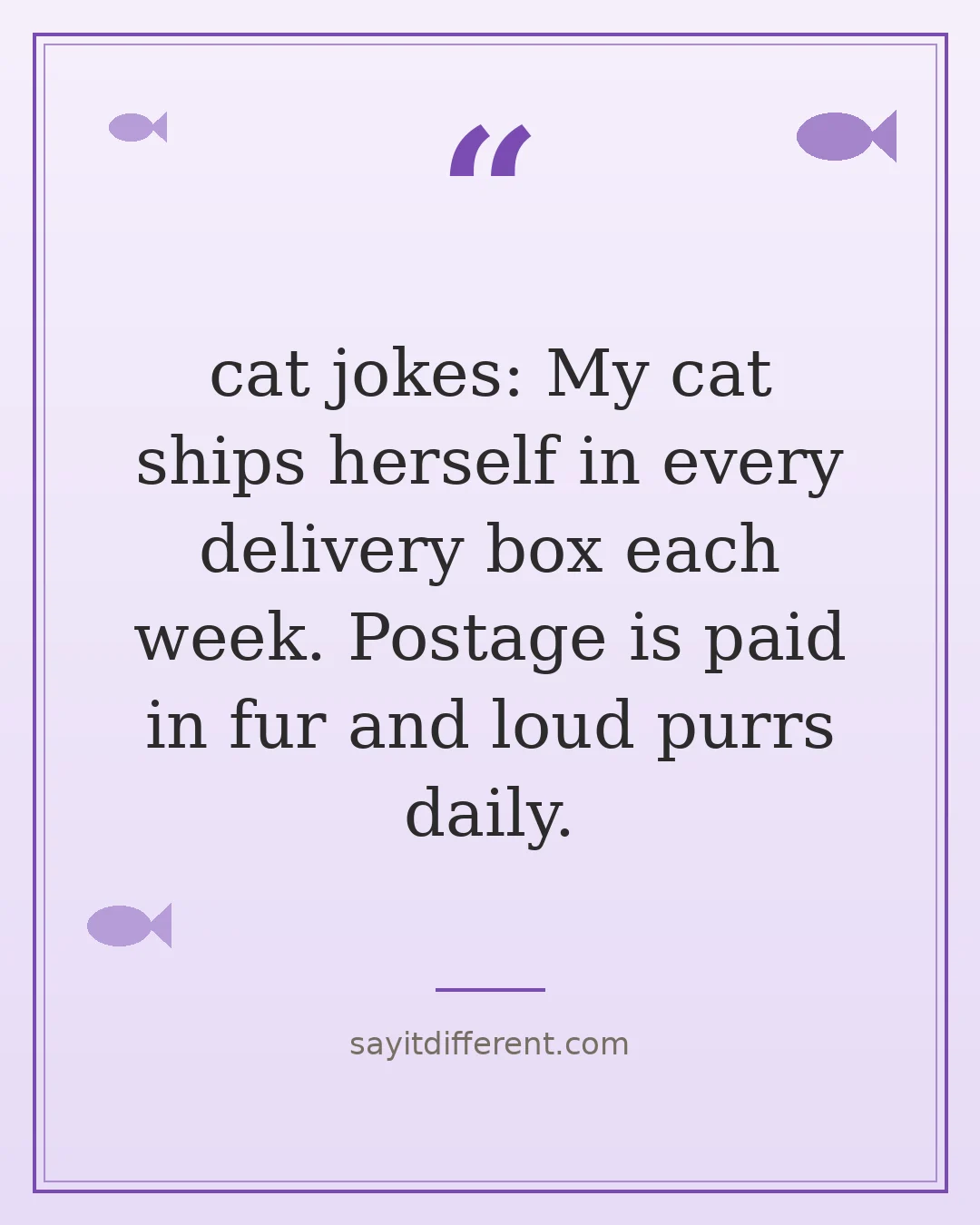 cat jokes: My cat ships herself in every delivery box each week. Postage is paid in fur and loud purrs daily.