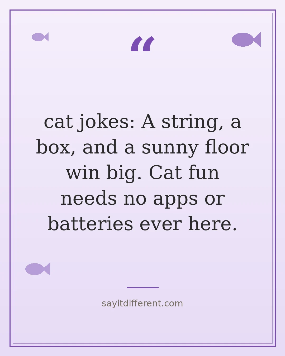 cat jokes: A string, a box, and a sunny floor win big. Cat fun needs no apps or batteries ever here.