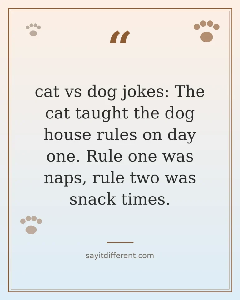 70 cat vs dog jokes