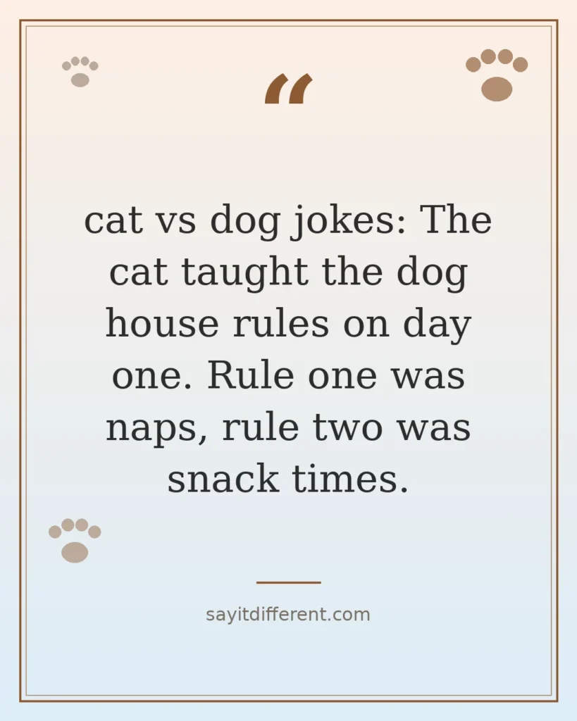 70 cat vs dog jokes