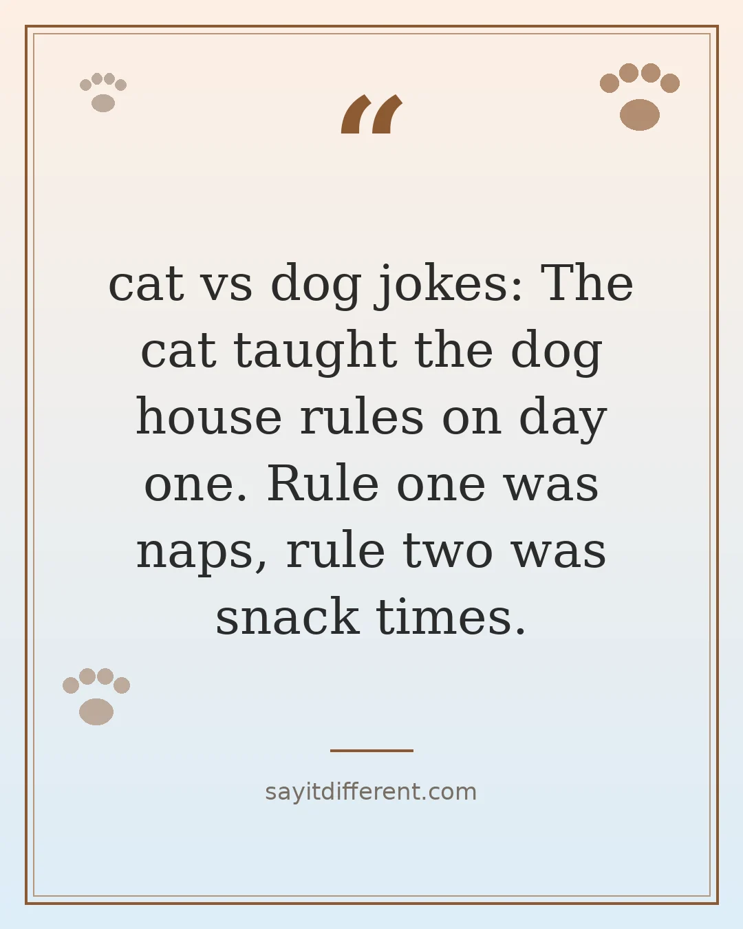 cat vs dog jokes: The cat taught the dog house rules on day one. Rule one was naps, rule two was snack times.