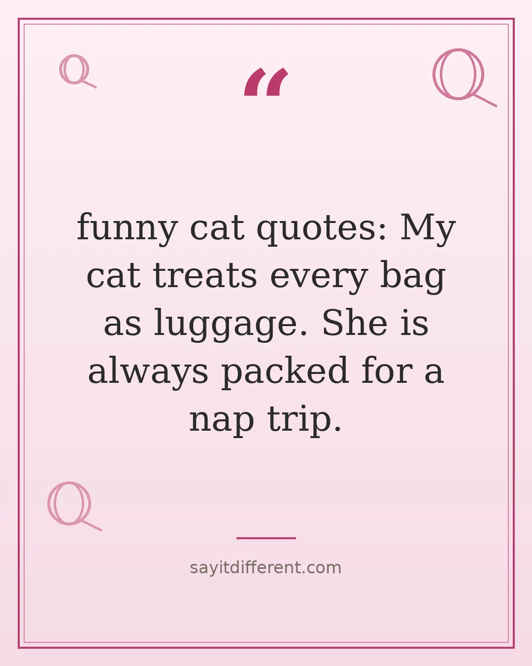 funny cat quotes: My cat treats every bag as luggage. She is always packed for a nap trip.