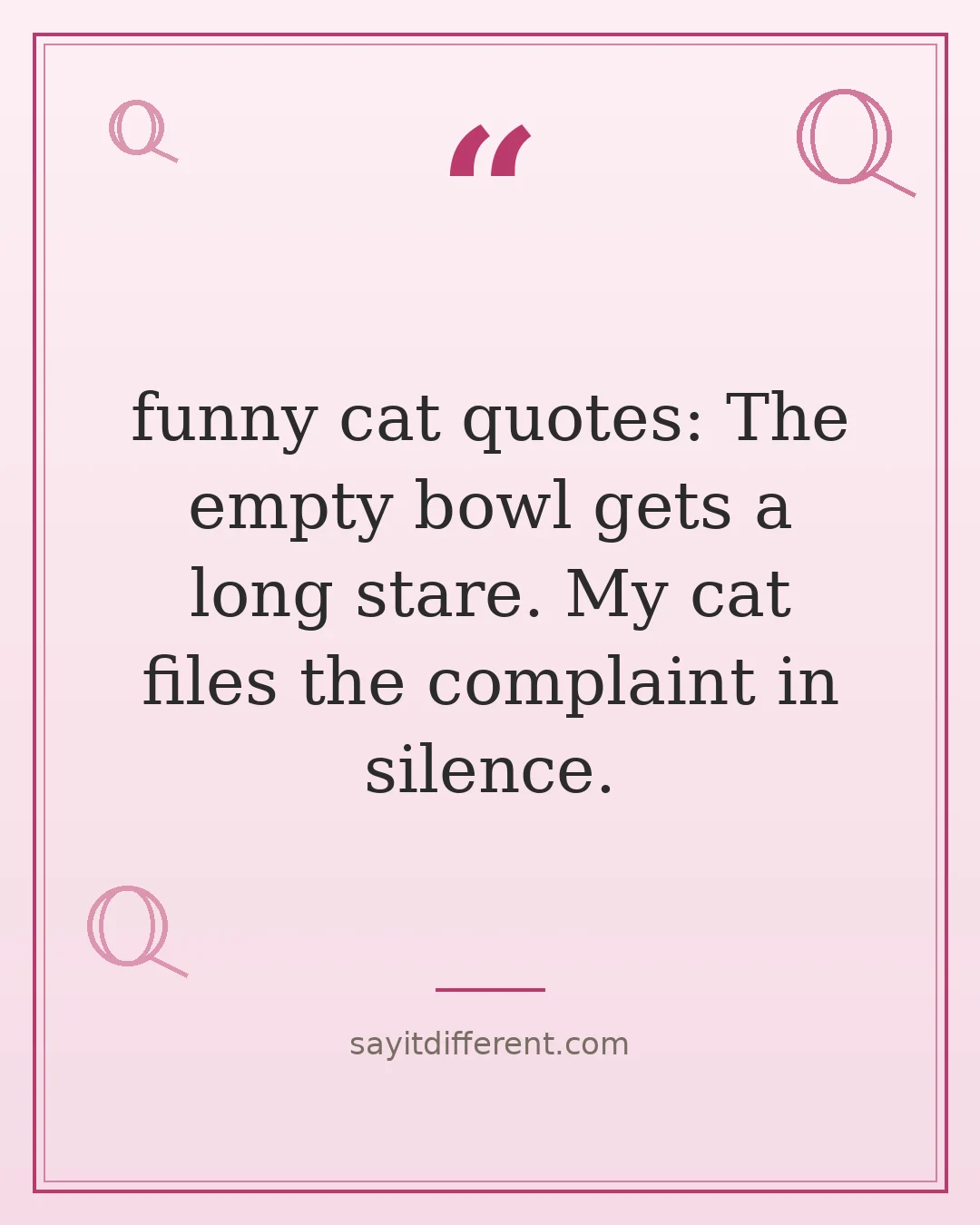 funny cat quotes: The empty bowl gets a long stare. My cat files the complaint in silence.