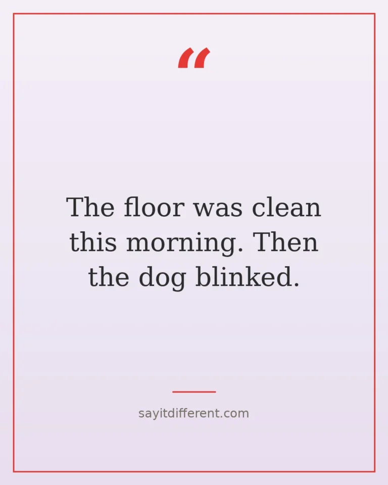 70 funny cleaning quotes for the dust dodgers