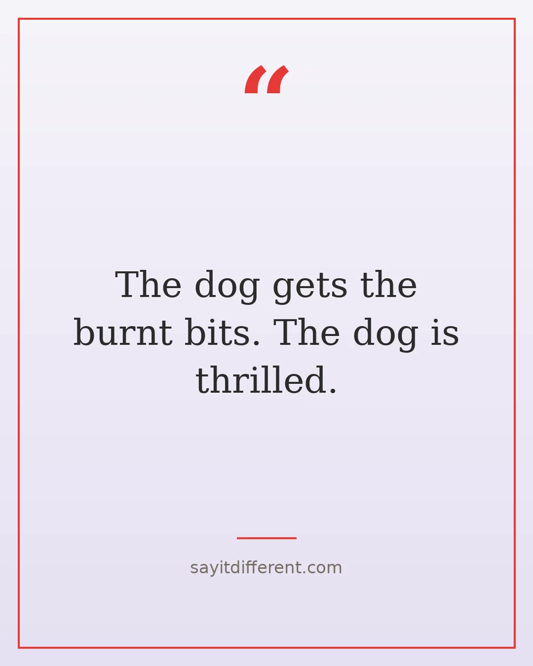 funny cooking quotes: The dog gets the burnt bits. The dog is thrilled.