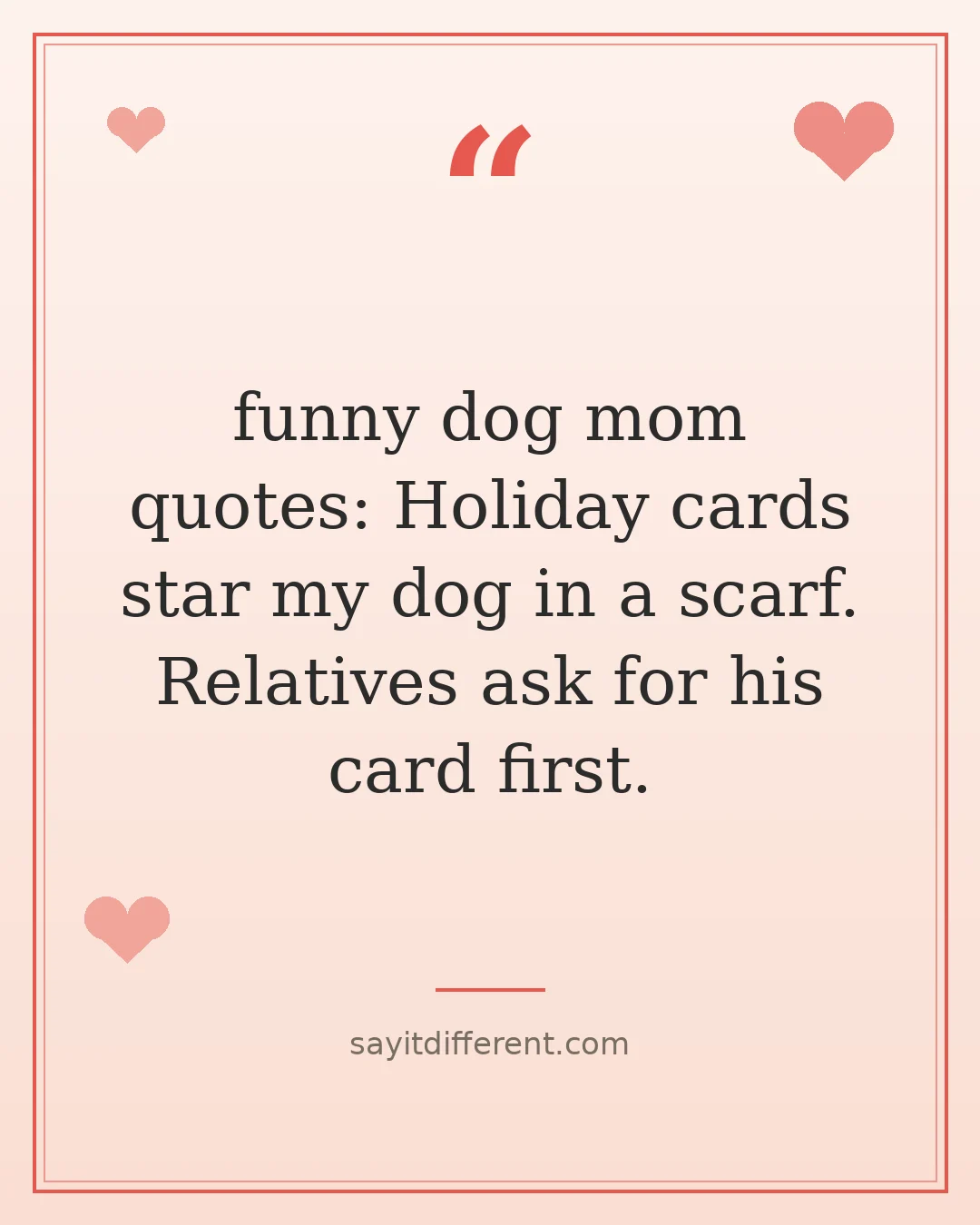 funny dog mom quotes: Holiday cards star my dog in a scarf. Relatives ask for his card first.