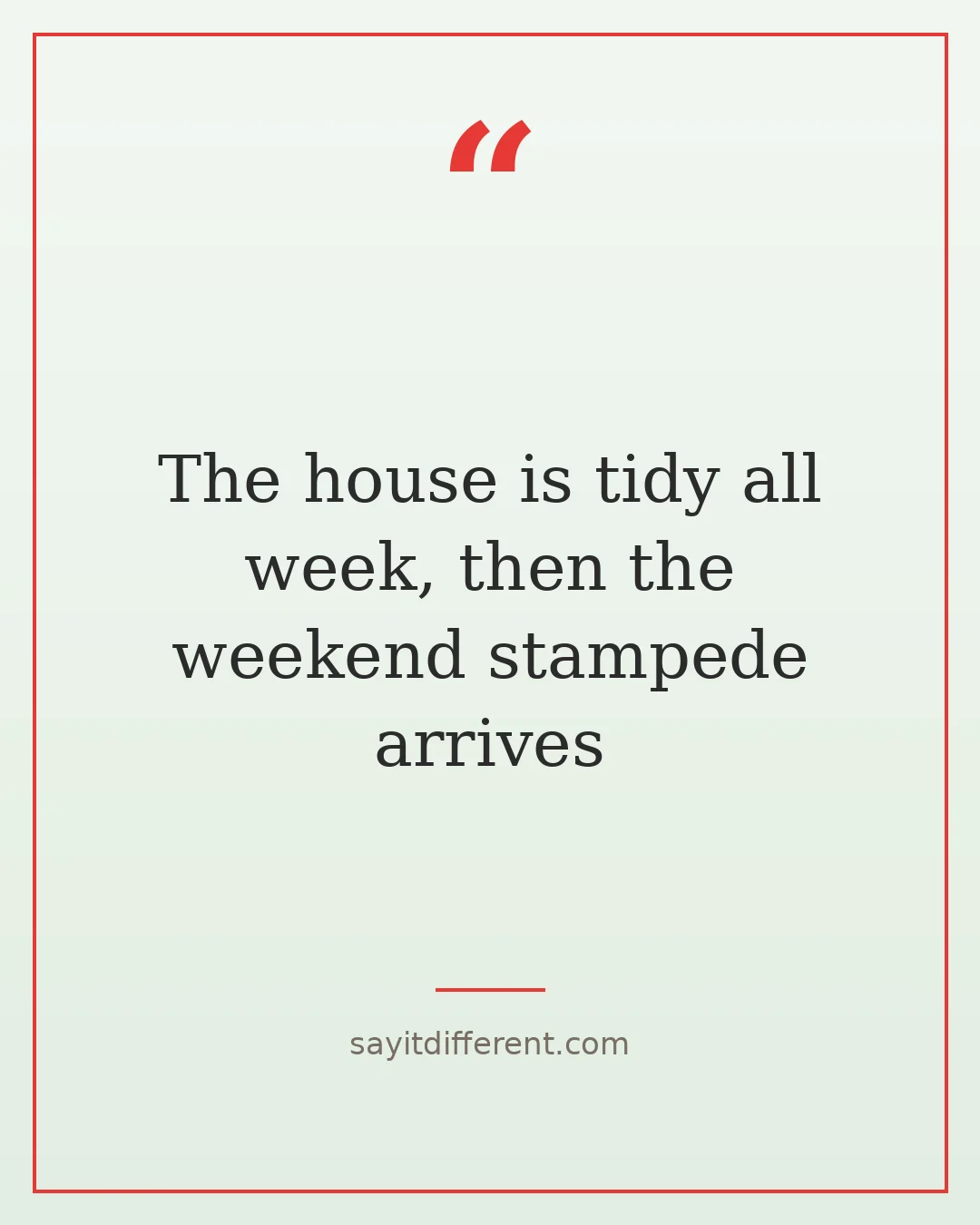 funny grandchildren quotes: The house is tidy all week, then the weekend stampede arrives