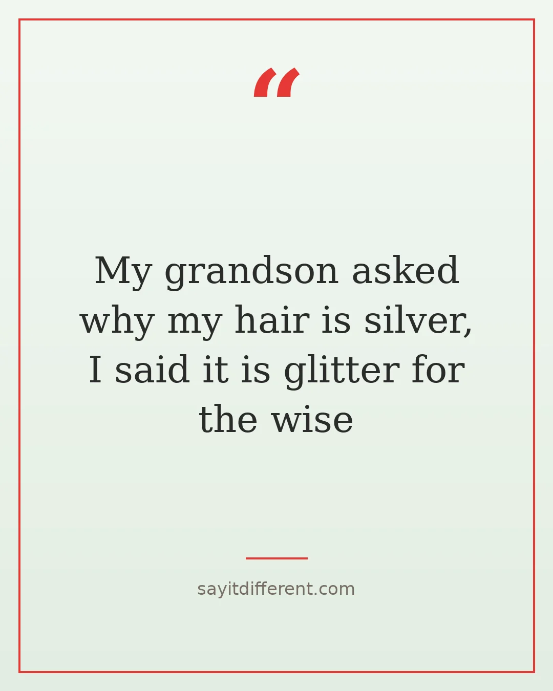 funny grandchildren quotes: My grandson asked why my hair is silver, I said it is glitter for the wise