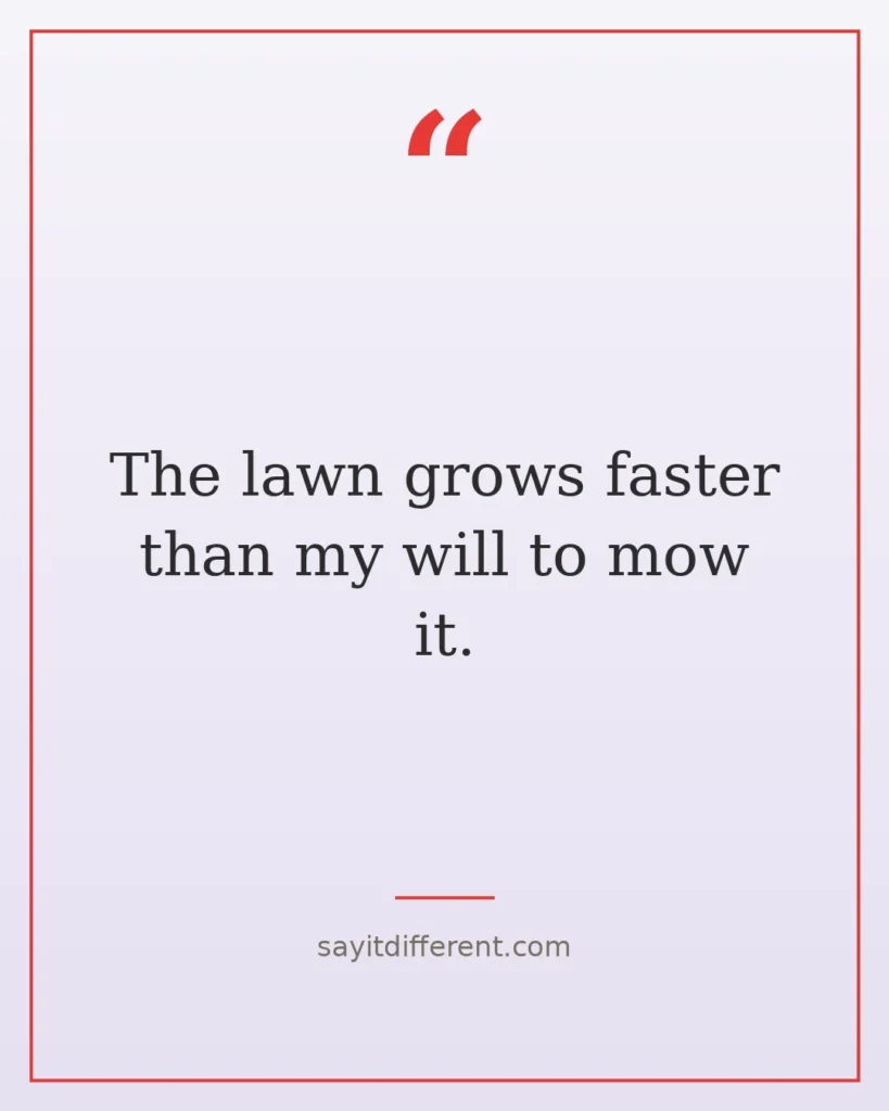 70 funny homeowner quotes for the house proud