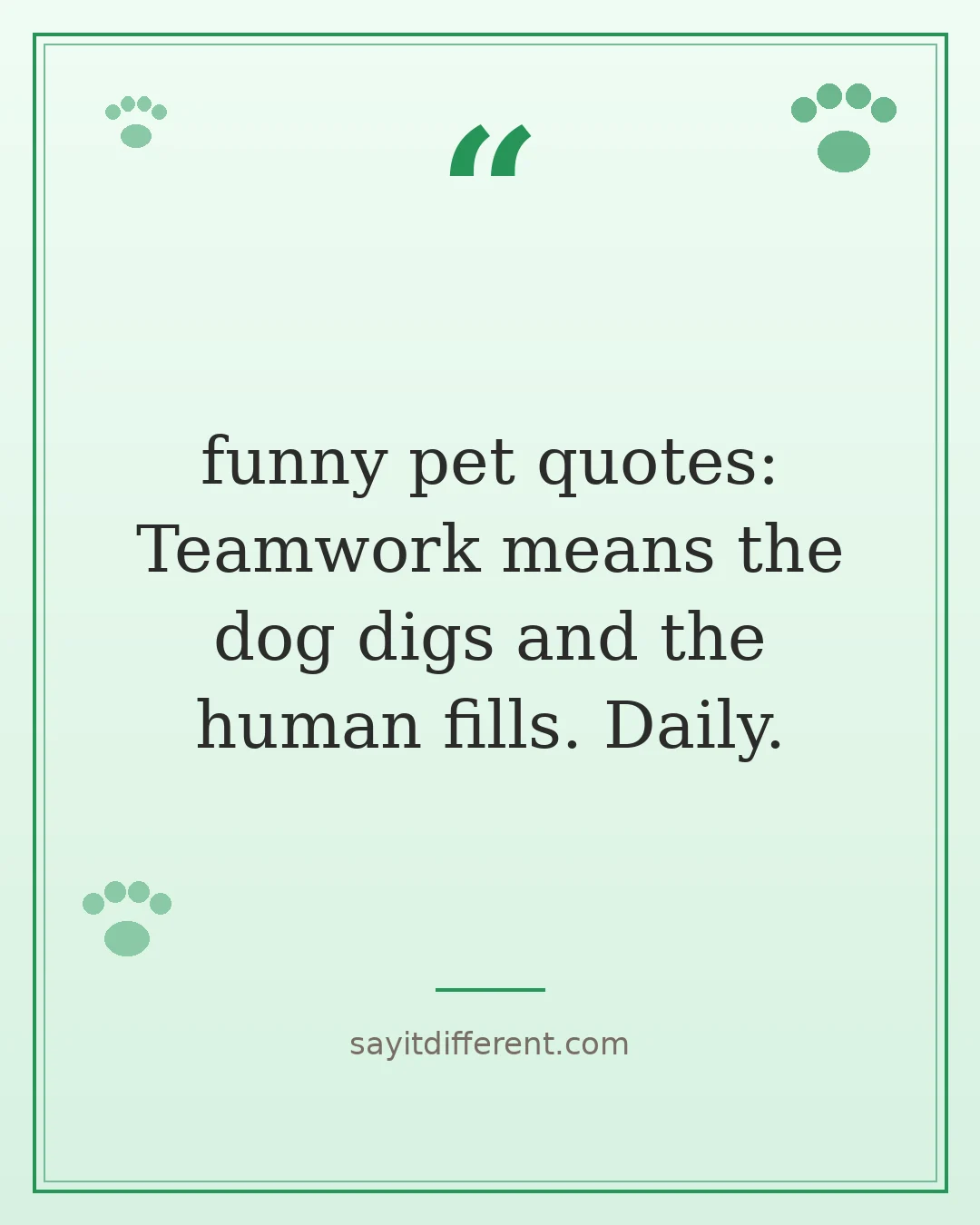funny pet quotes: Teamwork means the dog digs and the human fills. Daily.
