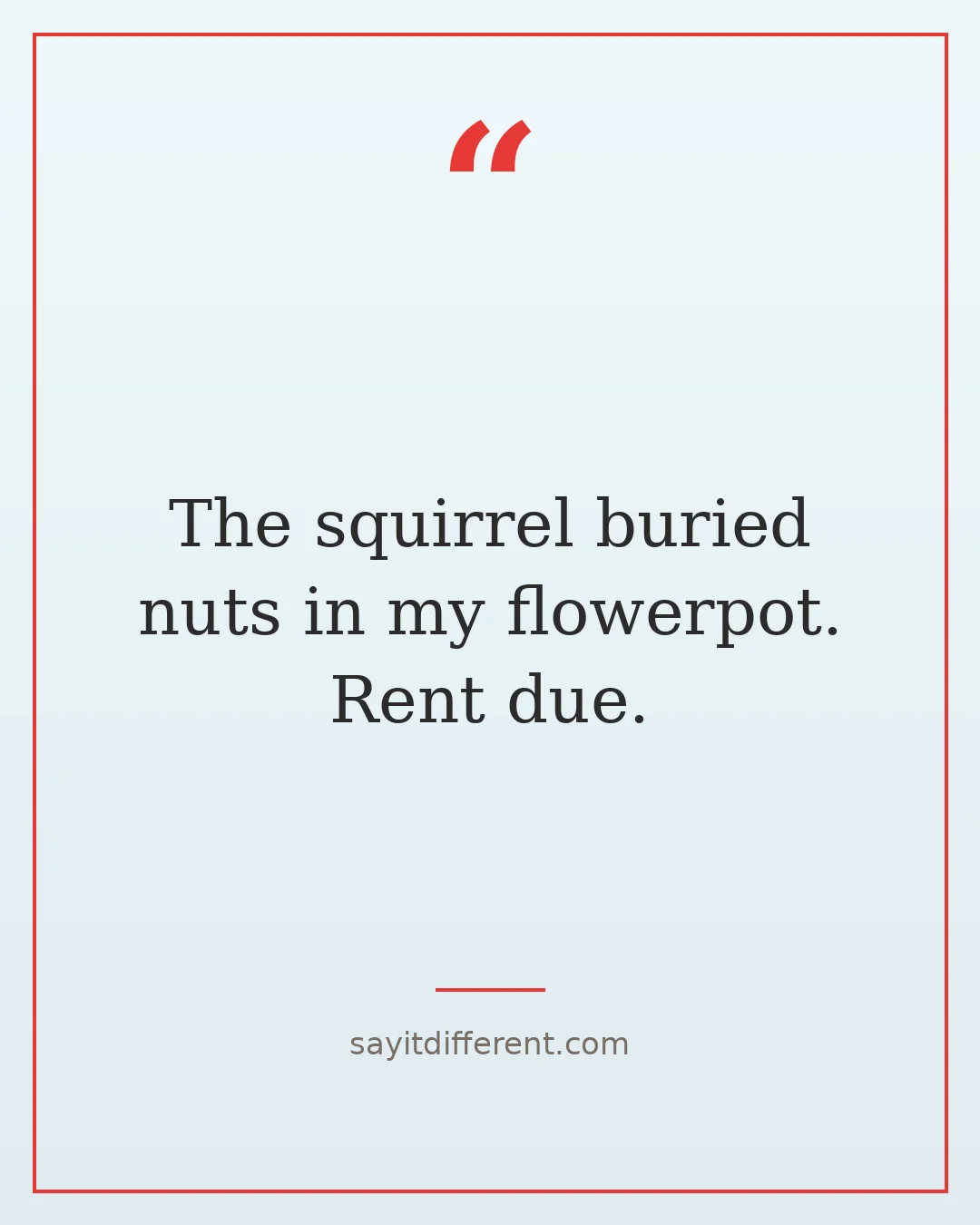 ridiculous quotes: The squirrel buried nuts in my flowerpot. Rent due.